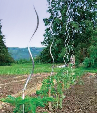 Plant Growing Spiral