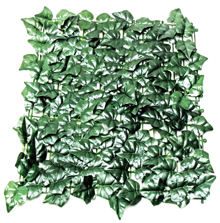 Sweet Patatoes Leaves Fencing  w/ leaf stalk