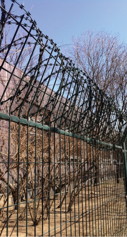 Concertina Razor Wire