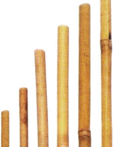 Bamboo Sticks