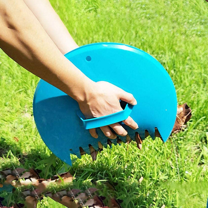 PP Rake 06
