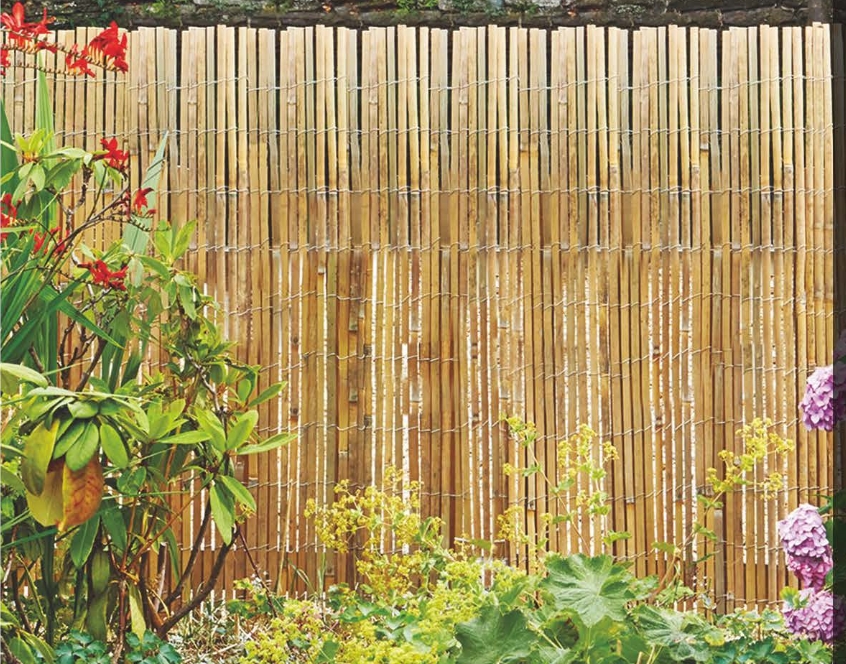 Bamboo Fence