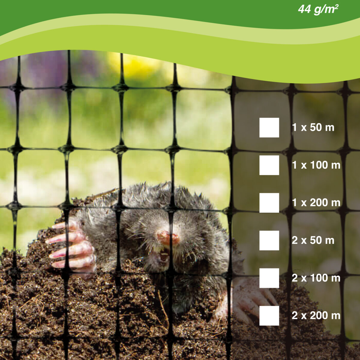 Molenet - 44g