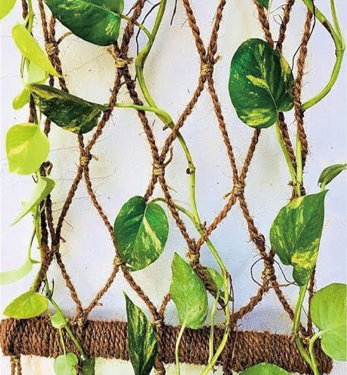 Sisal/Jute Rope - Image 2